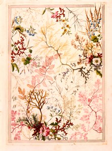 Marble end paper